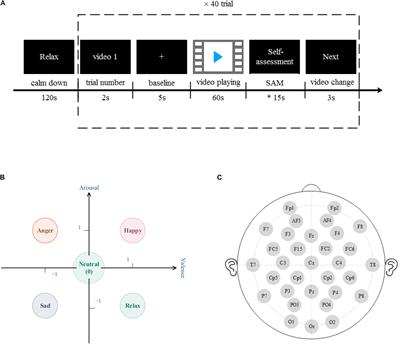 Identification of Emotion Using Electroencephalogram by Tunable Q-Factor Wavelet Transform and Binary Gray Wolf Optimization